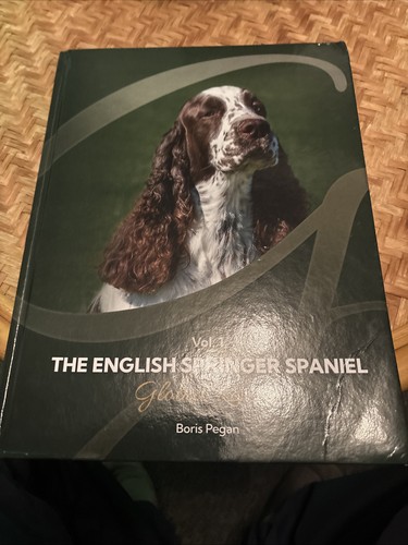 The english springer - the, spaniel