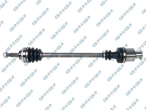 Gsp 250526 albero - gsp, per