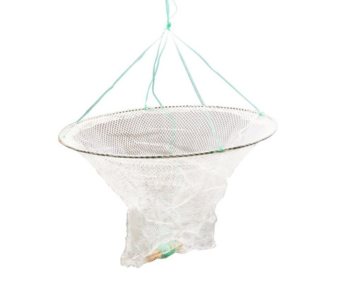Colibri rete cattura - ,