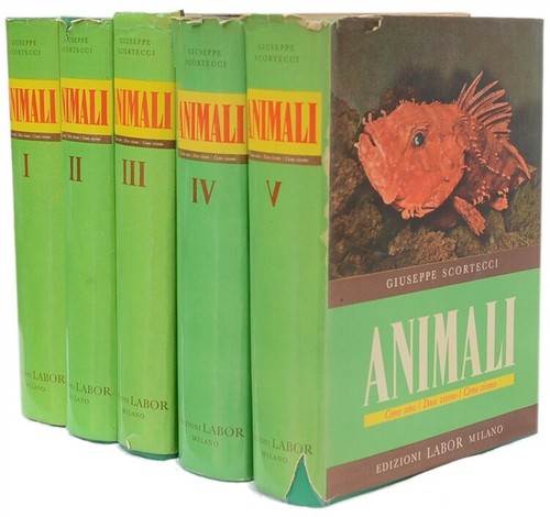 Animali come sono dove - animali.,