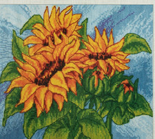 Kit Cerchio Ricamo Spiaggia