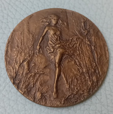 Medaglia in Bronzo Carlo Santachiara  49 gr 51 mm Ø Viareggio 1988 fotografia