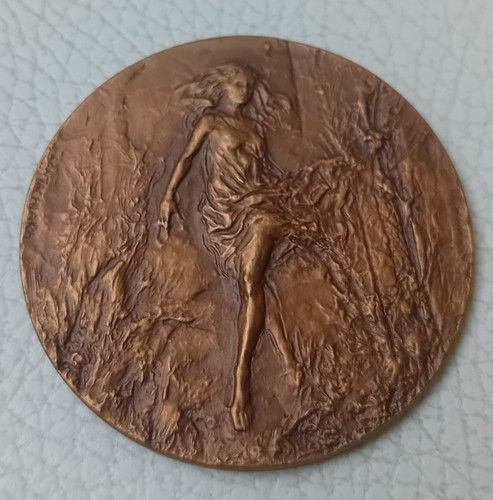 Medaglia bronzo carlo - in,