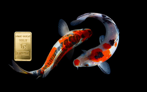 Grammi oro fino carta - 1,0,