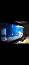 Acquario completo usato