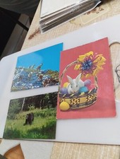 Cartoline Animali Vari Lotto