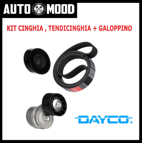 Kit cinghia servizi - cinghia,