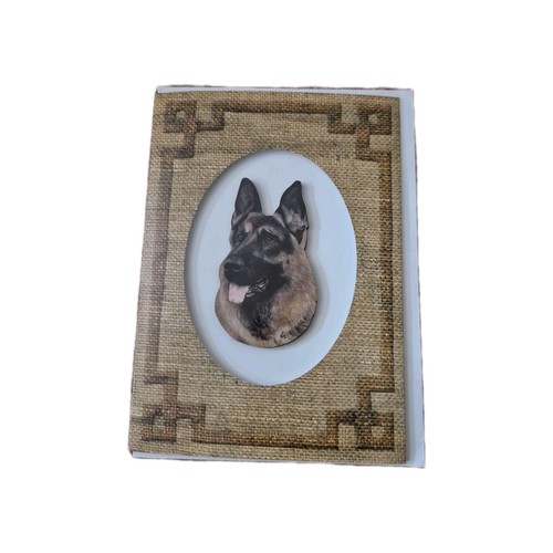 Nuova carta for - 3d, pet's