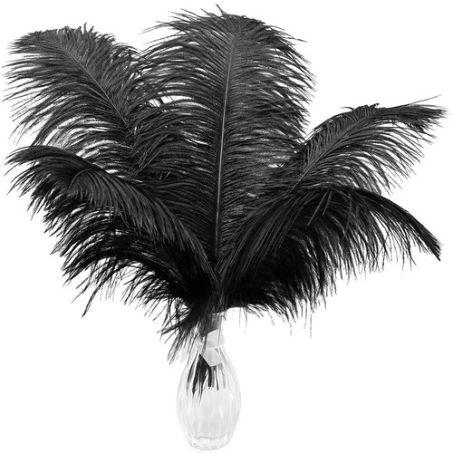 10pz piume struzzo nero - 10pz,