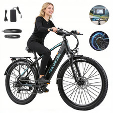 Bicicletta elettrica 750W 29