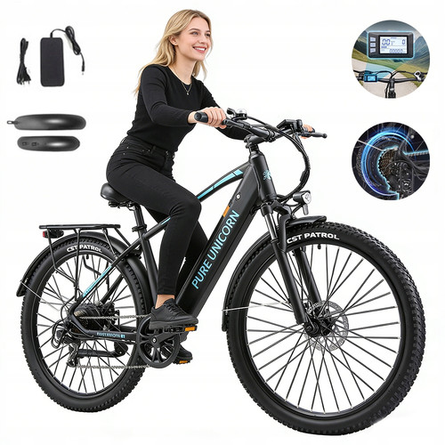Bicicletta elettrica 750w - elettrica, 29