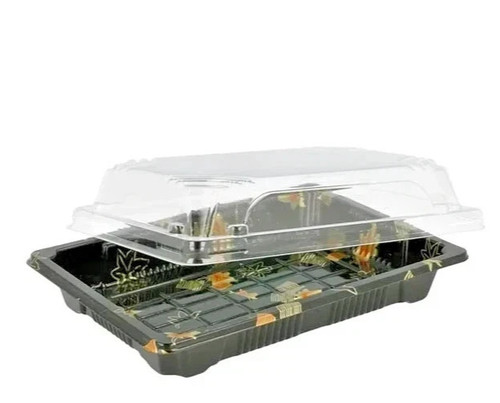 Kit vaschette asporto - 50,
