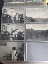Lotto 27 fotografie vintage anni 50 (Zoo e Gite sul Lago)