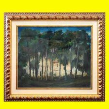 opera di domenico purificato