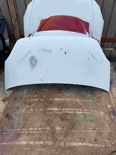 Cofano anteriore iveco daily - anteriore,