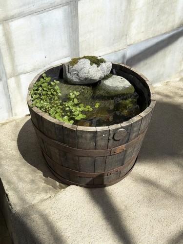 Mezza botte whisky vera - botte,