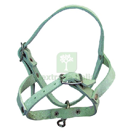 1pz capezza per pecora - 1pz,