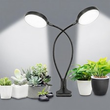 LED Grow Light Plant Growing