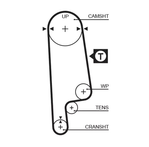 Kit cinghie dentate gates - dentate,