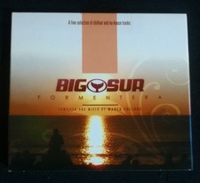 Various ‎– Big Sur