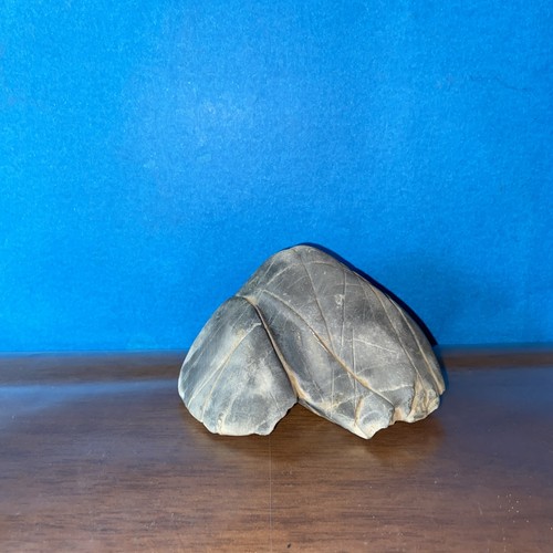 Pietra naturale suiseki