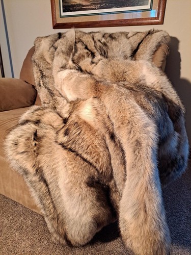 Coperta vera - in,