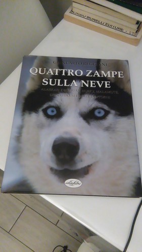 Quattro zampe sulla neve - zampe,