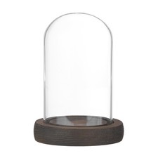 Bell Shaped Glass Bell