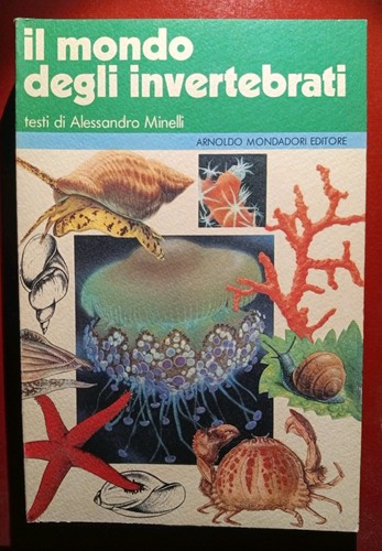 Mondo degli invertebrati - mondo,