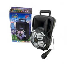 CASSA ACUSTICA AMPLIFICATA