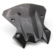 Parabrezza in carbonio per