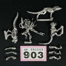 1 Drukhari Beastmaster Con 3