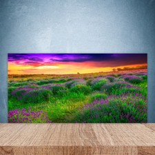 Paraschizzi da Cucina 100x50