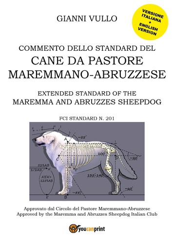 Commento dello standard del - dello,