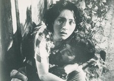 PHILLIP SALVADOR  GINA ALAJAR BAYAN KO 1984 PHOTO ORIGINAL #7