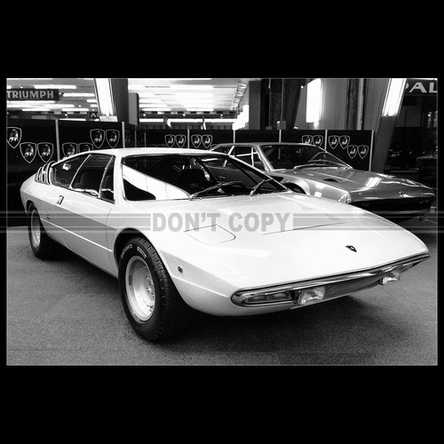 Photo 037231 lamborghini - a.037231,
