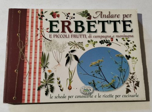 Andare per erbette piccoli - e,