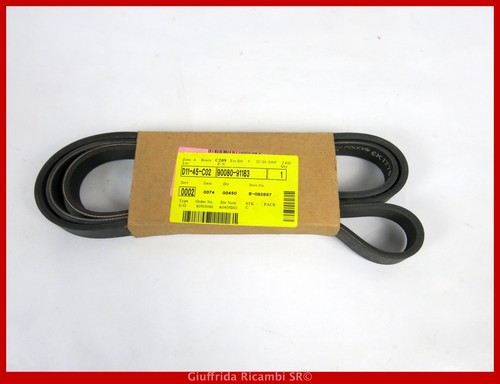 Cinghia servizi poly - servizi, poly-v