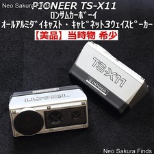 Rara coppia Pioneer TS-X11