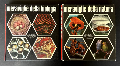 Lotto libri meraviglie - 2,