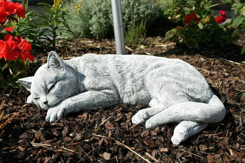 Gatto pietra che dorme - gatto,