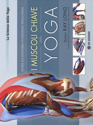 Muscoli chiave dello - i,