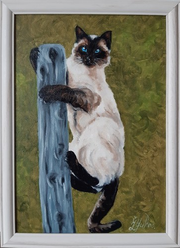Quadro gatto siamese animale