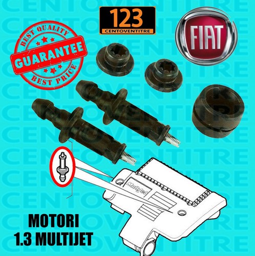 Kit supporti gommini perno - gommini,