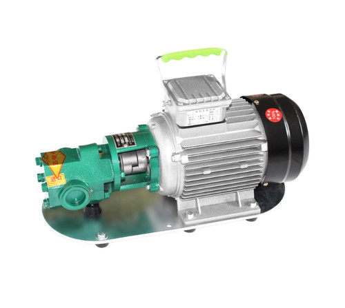 Pompa elettrica 220v - elettrica,