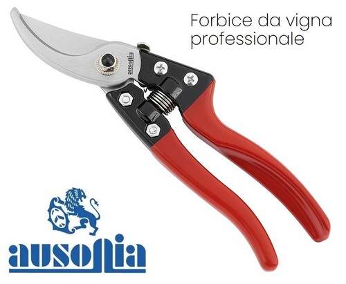 Forbice potatura vigna 20 - vigna,