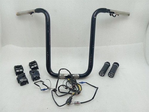 Harley davidson road king ape - road,