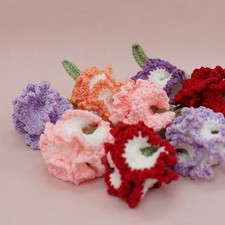 Delicato Garofano Fiori