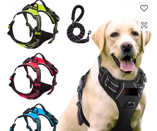 Pettorina per cani - pettorina, cani,