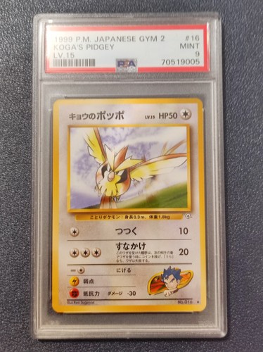 Koga pidgey 016 - pidgey,